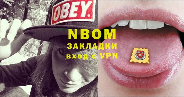 твердый Богородск